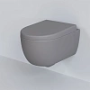 Унитаз подвесной Abner 103T20301R (545x360x330) матовый серый безободковый с толстой крышкой 103T20301R-102T20301 Унитаз подвесной Abner 103T20301R (545x360x330) матовый серый безободковый с толстой крышкой 103T20301R-102T20301