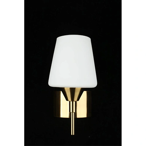 Светильник настенный (Бра) Aployt Lyus APL.840.01.01 Светильник настенный (Бра) Aployt Lyus APL.840.01.01