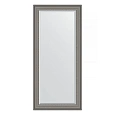 Зеркало в багетной раме Evoform Exclusive BY 1305 76 x 166 см, хамелеон Зеркало в багетной раме Evoform Exclusive BY 1305 76 x 166 см, хамелеон