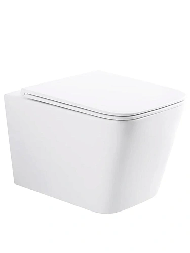 Унитаз подвесной Wonzon & Woghand RONA безободковый, белый матовый (WW-UP2216-MW) Унитаз подвесной Wonzon & Woghand RONA безободковый, белый матовый (WW-UP2216-MW)