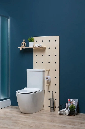 Чаша напольного унитаза Aquanet Rimless Cetus-C1 BL-102N-TPT CETUS-C1 с сиденьем Чаша напольного унитаза Aquanet Rimless Cetus-C1 BL-102N-TPT CETUS-C1 с сиденьем