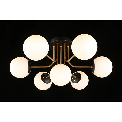 Люстра потолочная Aployt Ewka APL.906.17.07 Люстра потолочная Aployt Ewka APL.906.17.07
