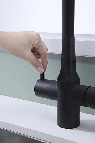 Смеситель для кухни Paulmark SALIX антрацит Sa213419-AN Смеситель для кухни Paulmark SALIX антрацит Sa213419-AN