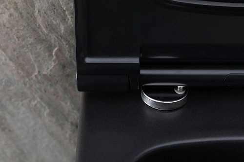 Унитаз подвесной Allen Brau Priority 4.31001.31 с крышкой, черный матовый Унитаз подвесной Allen Brau Priority 4.31001.31 с крышкой, черный матовый