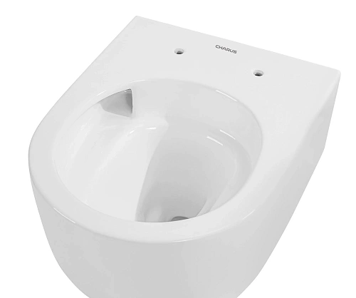 Унитаз подвесной CHARUS ELMO RIMLESS TORNADO EWC700-129W безободковый, c легкосъемным сиденьем, с функцией микролифт Унитаз подвесной CHARUS ELMO RIMLESS TORNADO EWC700-129W безободковый, c легкосъемным сиденьем, с функцией микролифт