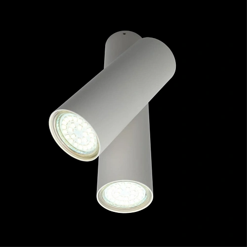 Светильник настенно-потолочный Aployt Aksel APL.006.02.02 Светильник настенно-потолочный Aployt Aksel APL.006.02.02