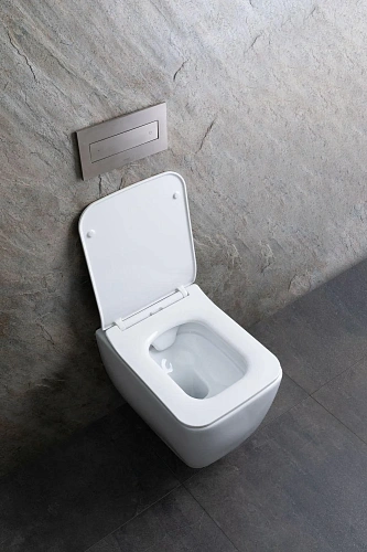 Унитаз подвесной Allen Brau Liberty 4.33007.20 с крышкой, белый Унитаз подвесной Allen Brau Liberty 4.33007.20 с крышкой, белый