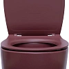 Унитаз подвесной Allen Brau Fantasy 4.11004.BD с крышкой, бордо Унитаз подвесной Allen Brau Fantasy 4.11004.BD с крышкой, бордо
