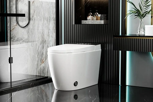 Унитаз SMART ABBER Bequem AC1116S приставной с функцией биде белый с крышкой микролифт Унитаз SMART ABBER Bequem AC1116S приставной с функцией биде белый с крышкой микролифт