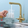 Смеситель для кухни Raglo R81.61.03 с подключением к фильтру, золотой сатин Смеситель для кухни Raglo R81.61.03 с подключением к фильтру, золотой сатин