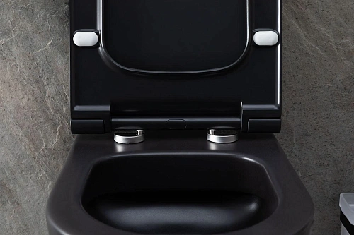 Унитаз подвесной Allen Brau Priority 4.31001.31 с крышкой, черный матовый Унитаз подвесной Allen Brau Priority 4.31001.31 с крышкой, черный матовый