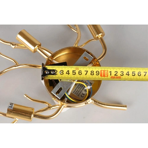 Светильник настенный (Бра) Aployt Paulina APL.848.01.03 Светильник настенный (Бра) Aployt Paulina APL.848.01.03