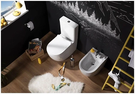 Бачок для унитаза Aquanet Cetus-C2 BL-102N-TPT CETUS-C2 Бачок для унитаза Aquanet Cetus-C2 BL-102N-TPT CETUS-C2