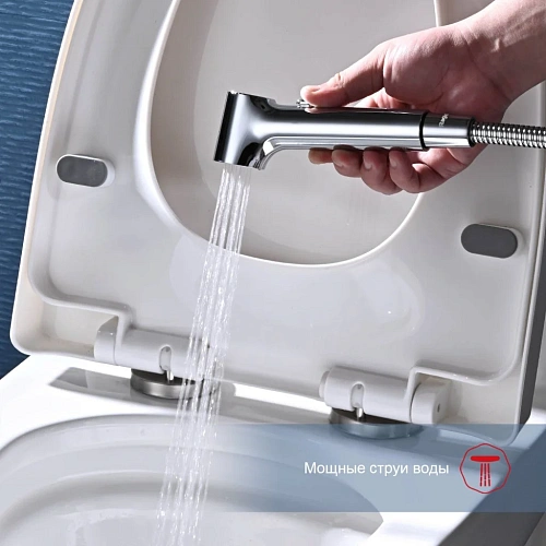 Гигиенический душ Raglo R03.51, хром Гигиенический душ Raglo R03.51, хром