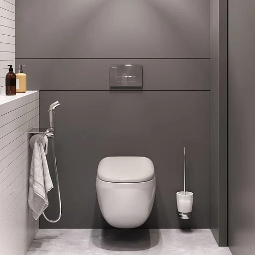 Унитаз подвесной AM.PM Sensation CK30H0904W с гигиеническим душем с сиденьем Унитаз подвесной AM.PM Sensation CK30H0904W с гигиеническим душем с сиденьем