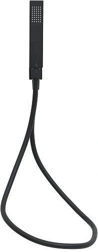 Душевой гарнитур Allen Brau Infinity 5.21021-31 Душевой гарнитур Allen Brau Infinity 5.21021-31