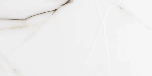 Керамогранит Neodom Onix One Fancy Grey Glossy 60x120 CV20195 Керамогранит Neodom Onix One Fancy Grey Glossy 60x120 CV20195