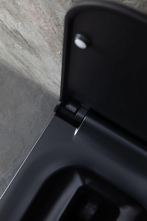 Унитаз подвесной Allen Brau Infinity 4.21011.31 с крышкой, черный матовый