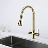 Смеситель для кухни Paulmark Lange золото La214212-G Смеситель для кухни Paulmark Lange золото La214212-G
