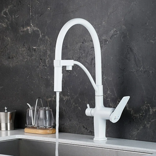 Смеситель для кухни Lemark Bronx LM3761MW с подключением к фильтру, белый/матовый Смеситель для кухни Lemark Bronx LM3761MW с подключением к фильтру, белый/матовый
