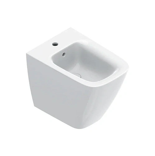 Детальная картинка товара «биде напольное catalano green 0419551001 55x37 белый глянцевый» Детальная картинка товара «биде напольное catalano green 0419551001 55x37 белый глянцевый»