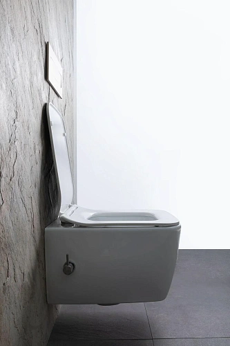 Унитаз подвесной Allen Brau Liberty 4.33009.20 с крышкой, белый Унитаз подвесной Allen Brau Liberty 4.33009.20 с крышкой, белый