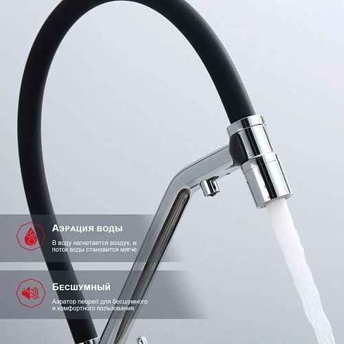 Смеситель для кухни Raglo R80.62 с гибким изливом с подключением к фильтру, хром Смеситель для кухни Raglo R80.62 с гибким изливом с подключением к фильтру, хром