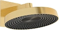 Верхний душ Allen Brau Eclipse 5.E1019-GB золото браш/черный Верхний душ Allen Brau Eclipse 5.E1019-GB золото браш/черный