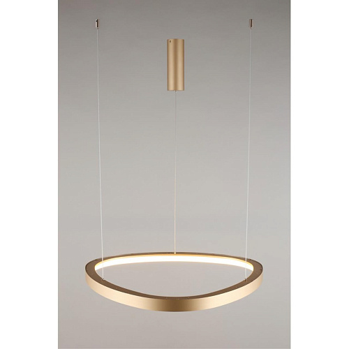 Люстра подвесная Aployt Zula APL.022.03.48 Люстра подвесная Aployt Zula APL.022.03.48