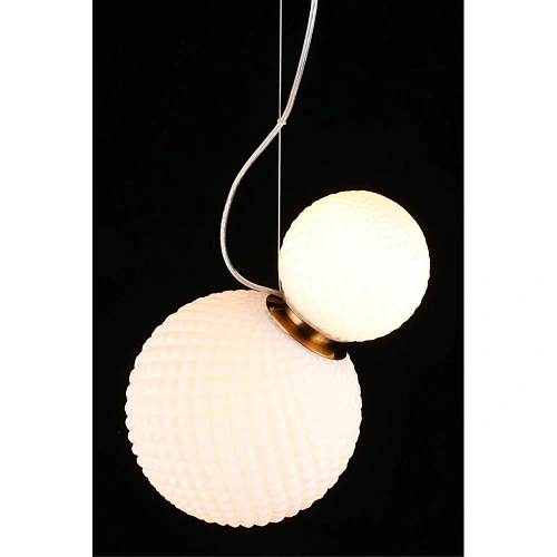 Светильник подвесной Aployt Patunia APL.301.06.02 Светильник подвесной Aployt Patunia APL.301.06.02