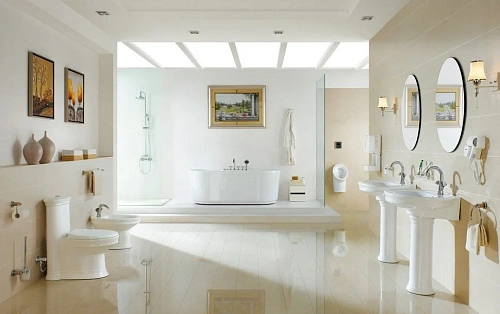 Унитаз напольный CeramaLux 2041 с сиденьем Унитаз напольный CeramaLux 2041 с сиденьем