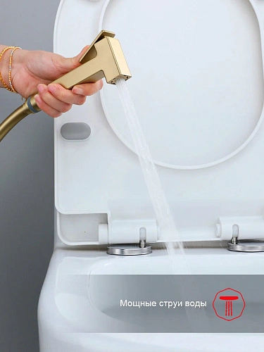 Гигиенический душ Raglo R02.54.03 встраиваемый, сатин золотой Гигиенический душ Raglo R02.54.03 встраиваемый, сатин золотой