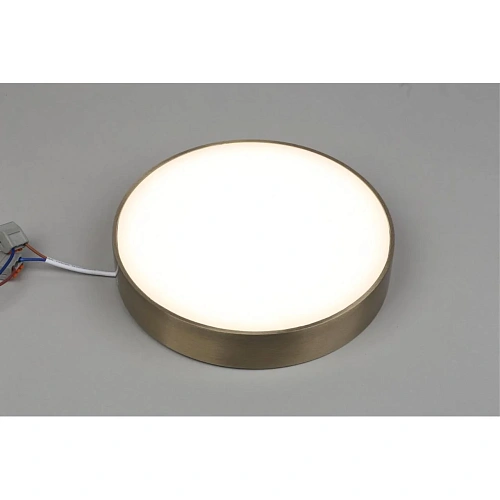 Светильник настенно-потолочный Aployt Evon APL.0114.29.24 Светильник настенно-потолочный Aployt Evon APL.0114.29.24