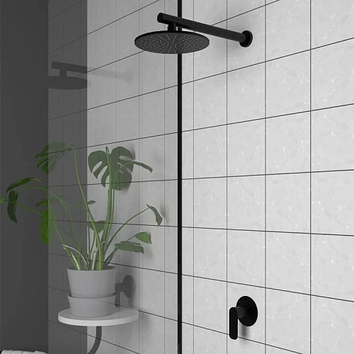 Верхний душ Paini 50YO759TT25 круглый, латунь, 25 см, черный Верхний душ Paini 50YO759TT25 круглый, латунь, 25 см, черный