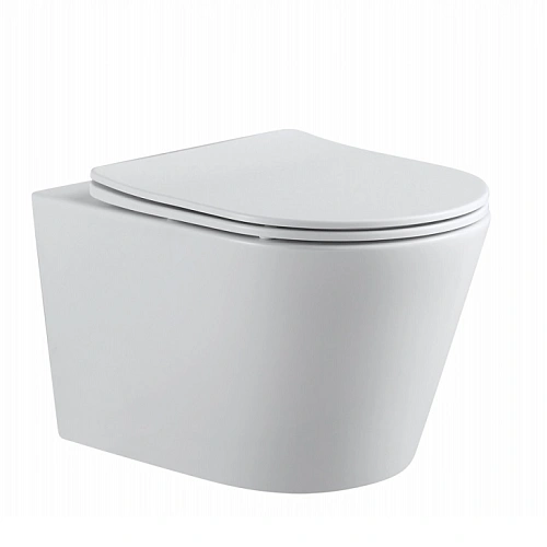 Унитаз подвесной Aquanet Rimless Atago 2.0 W LX-1905 с сиденьем Унитаз подвесной Aquanet Rimless Atago 2.0 W LX-1905 с сиденьем