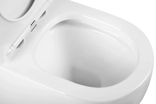 Унитаз напольный CHARUS CARAVAN CT700-131W с сиденьем Унитаз напольный CHARUS CARAVAN CT700-131W с сиденьем