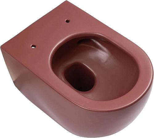 Унитаз подвесной Allen Brau Reality 4.32015.BD сиденье с микролифт бордо Унитаз подвесной Allen Brau Reality 4.32015.BD сиденье с микролифт бордо