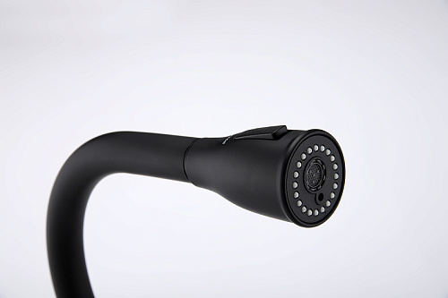 Смеситель для кухни Paulmark LANGE антрацит La214212-AN Смеситель для кухни Paulmark LANGE антрацит La214212-AN