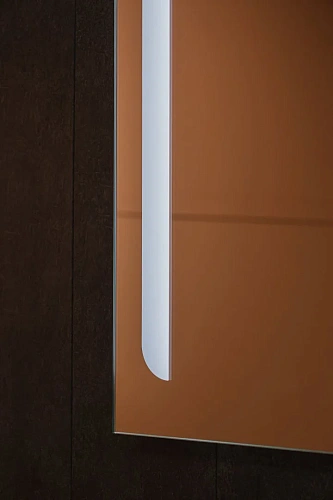 Зеркало SILVER MIRRORS 600x800 Сенсорный выключатель Клио (ФР-00001417) Зеркало SILVER MIRRORS 600x800 Сенсорный выключатель Клио (ФР-00001417)