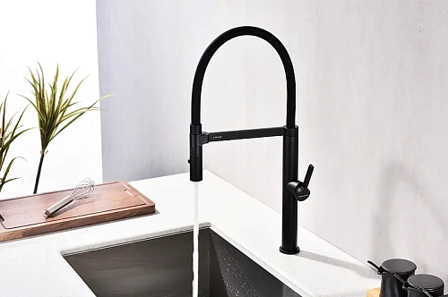 Смеситель для кухни Paulmark LEADER антрацит Le214101-AN Смеситель для кухни Paulmark LEADER антрацит Le214101-AN