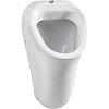Картинка анонса товара «писсуар vitra arkitekt 6202b003-0198 подвесной с внешним подводом воды, белый»