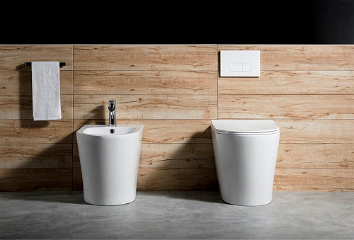 Унитаз приставной Aquatek ВЕГА AQ1906-00 560x360x410 безободковый тонкое сиденье Унитаз приставной Aquatek ВЕГА AQ1906-00 560x360x410 безободковый тонкое сиденье