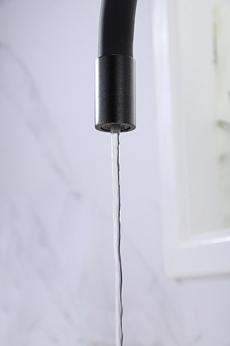 Смеситель для кухни Paulmark SALIX черный Sa213419-BLM Смеситель для кухни Paulmark SALIX черный Sa213419-BLM