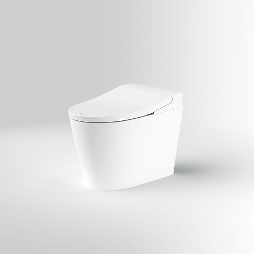 Унитаз SMART СмартЖум N20-Pro TOILETBIDETN20PRO с сиденьем Унитаз SMART СмартЖум N20-Pro TOILETBIDETN20PRO с сиденьем