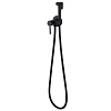 Гигиенический душ ABBER Wasser Kreis AF8125B черный матовый Гигиенический душ ABBER Wasser Kreis AF8125B черный матовый