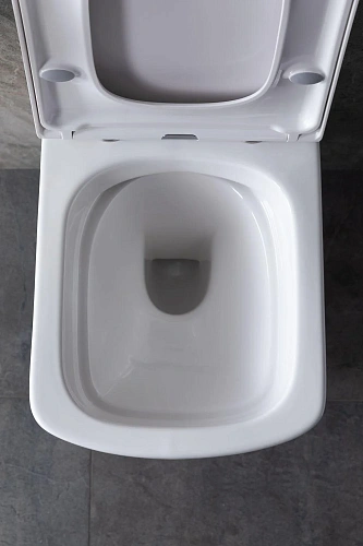 Комплект унитаза Allen Brau Liberty 4.33004.20/8.9466.0.000.000.1 (00316507) с инсталляцией, белый глянец Комплект унитаза Allen Brau Liberty 4.33004.20/8.9466.0.000.000.1 (00316507) с инсталляцией, белый глянец