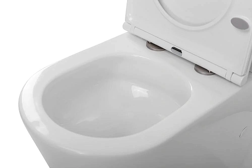 Унитаз напольный BelBagno FLAY-TOR BB2149CP-TOR/BB2149T/BB2111SC безободковый с сиденьем Унитаз напольный BelBagno FLAY-TOR BB2149CP-TOR/BB2149T/BB2111SC безободковый с сиденьем