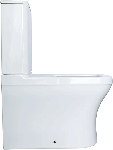 Чаша напольного унитаза Allen Brau Infinity 4.21012.20 с крышкой, белый глянец Чаша напольного унитаза Allen Brau Infinity 4.21012.20 с крышкой, белый глянец