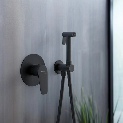 Гигиенический душ Aquatek БЕТТА AQ1119MB Черный матовый, встраиваемый Гигиенический душ Aquatek БЕТТА AQ1119MB Черный матовый, встраиваемый