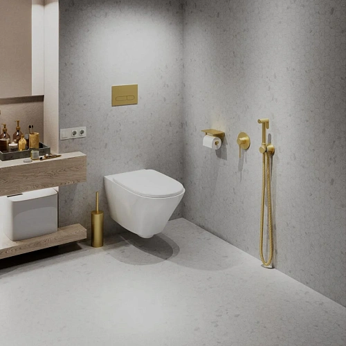 Гигиенический душ Timo Saona 2389/17SM золото матовое Гигиенический душ Timo Saona 2389/17SM золото матовое